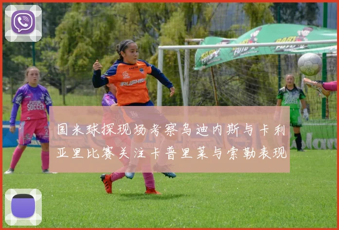 国米球探现场考察乌迪内斯与卡利亚里比赛关注卡普里莱与索勒表现