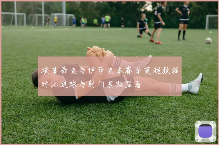 埃基蒂克与伊萨克本赛季英超数据对比进球与射门差距显著