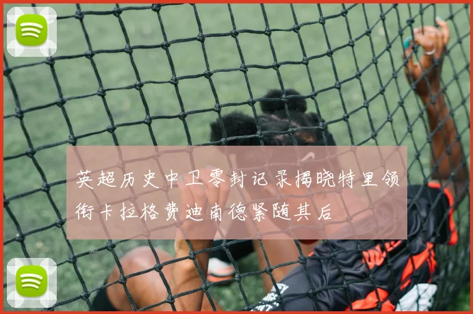英超历史中卫零封记录揭晓特里领衔卡拉格费迪南德紧随其后