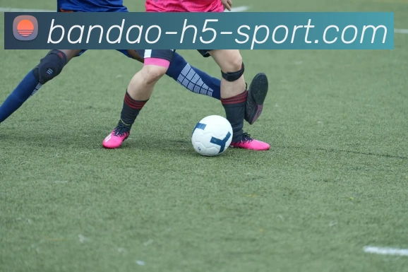 半岛体育服务体系